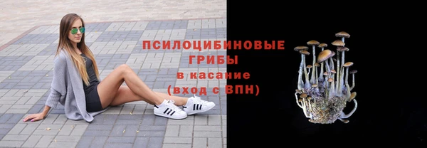 дживик Верея