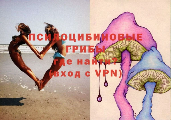 дмт Бугульма