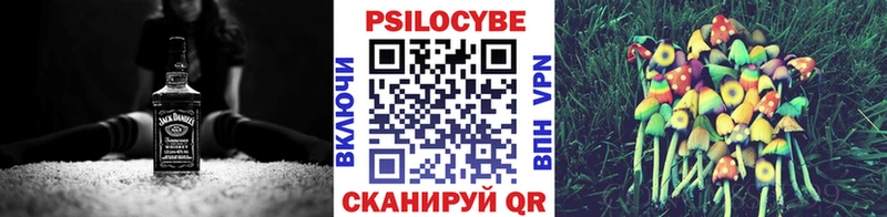 Купить закладки  Цивильск  Псилоцибиновые грибы прущие грибы 